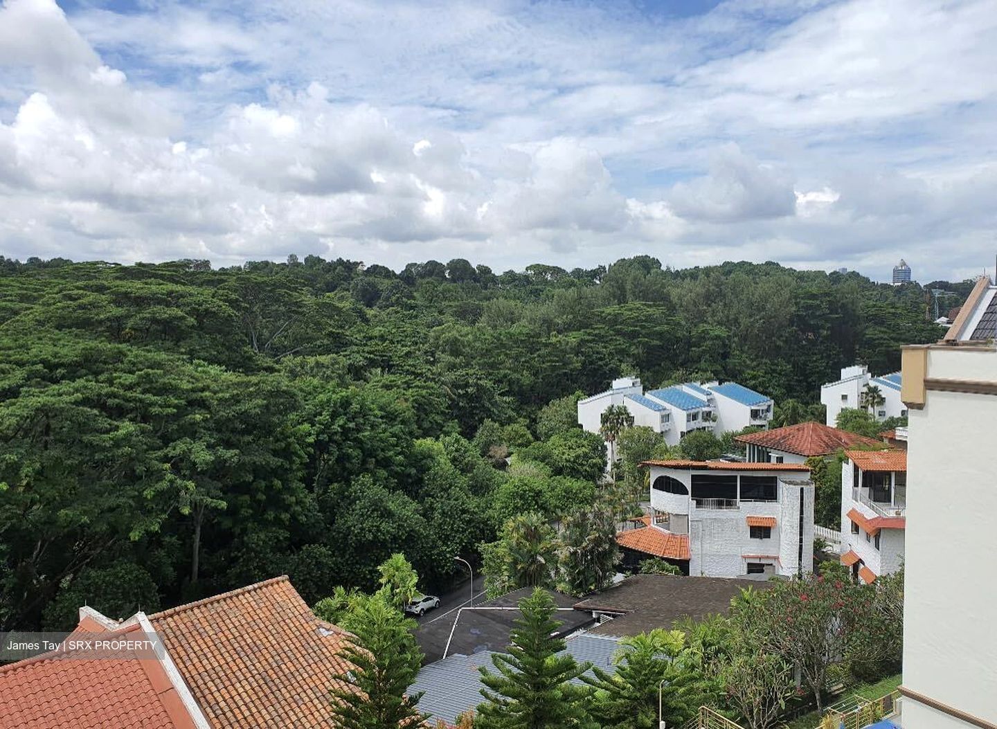 Le Hill Condominium (D5), Condominium #406530031